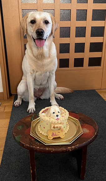 すぐに完食です